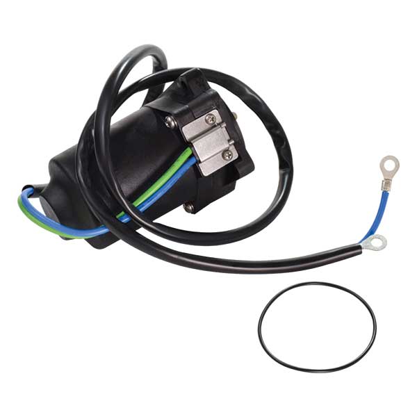 F80B F100D & Selva Marlin Power Trim & Tilt Motor Assy