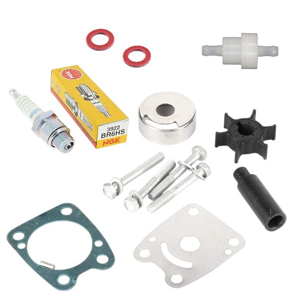 Yamaha F4A Basic Service Kit