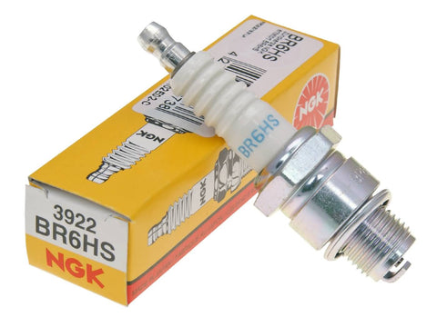 NGK BR6HS (3922) Spark Plug